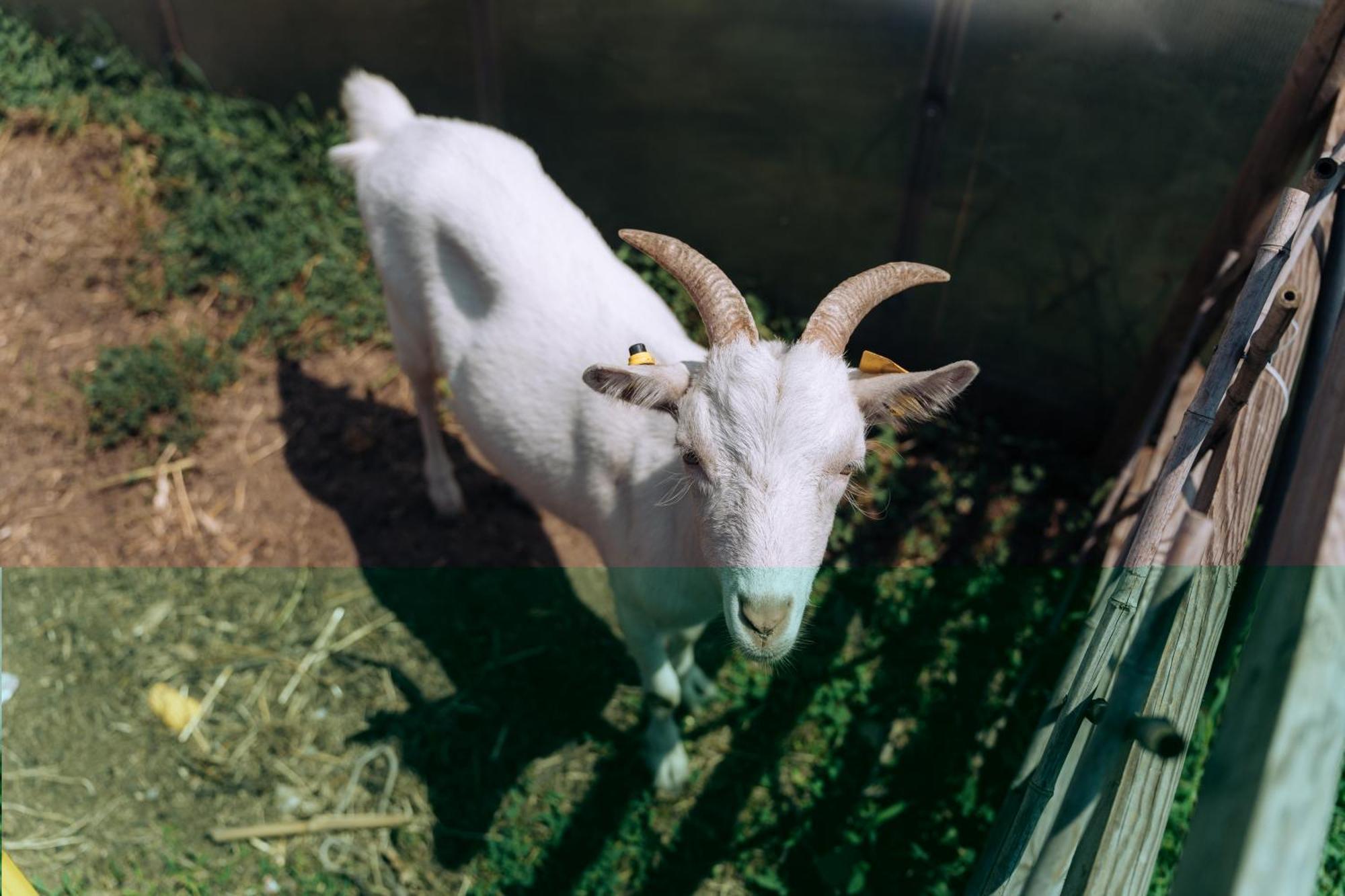 カーゼ・ヌオーヴェ Sleep & Fly Malpensa Bed & Breakfast エクステリア 写真