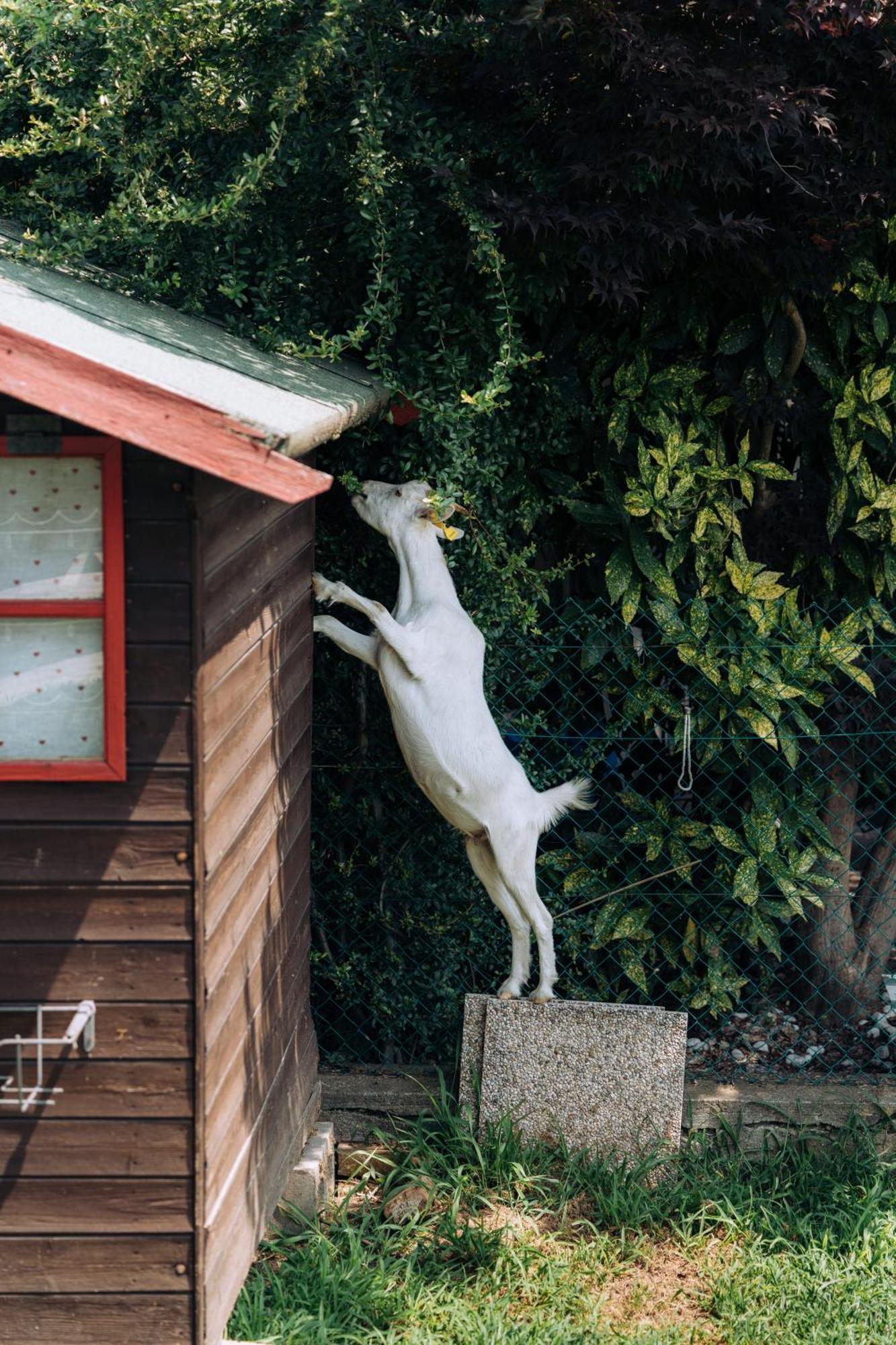 カーゼ・ヌオーヴェ Sleep & Fly Malpensa Bed & Breakfast エクステリア 写真